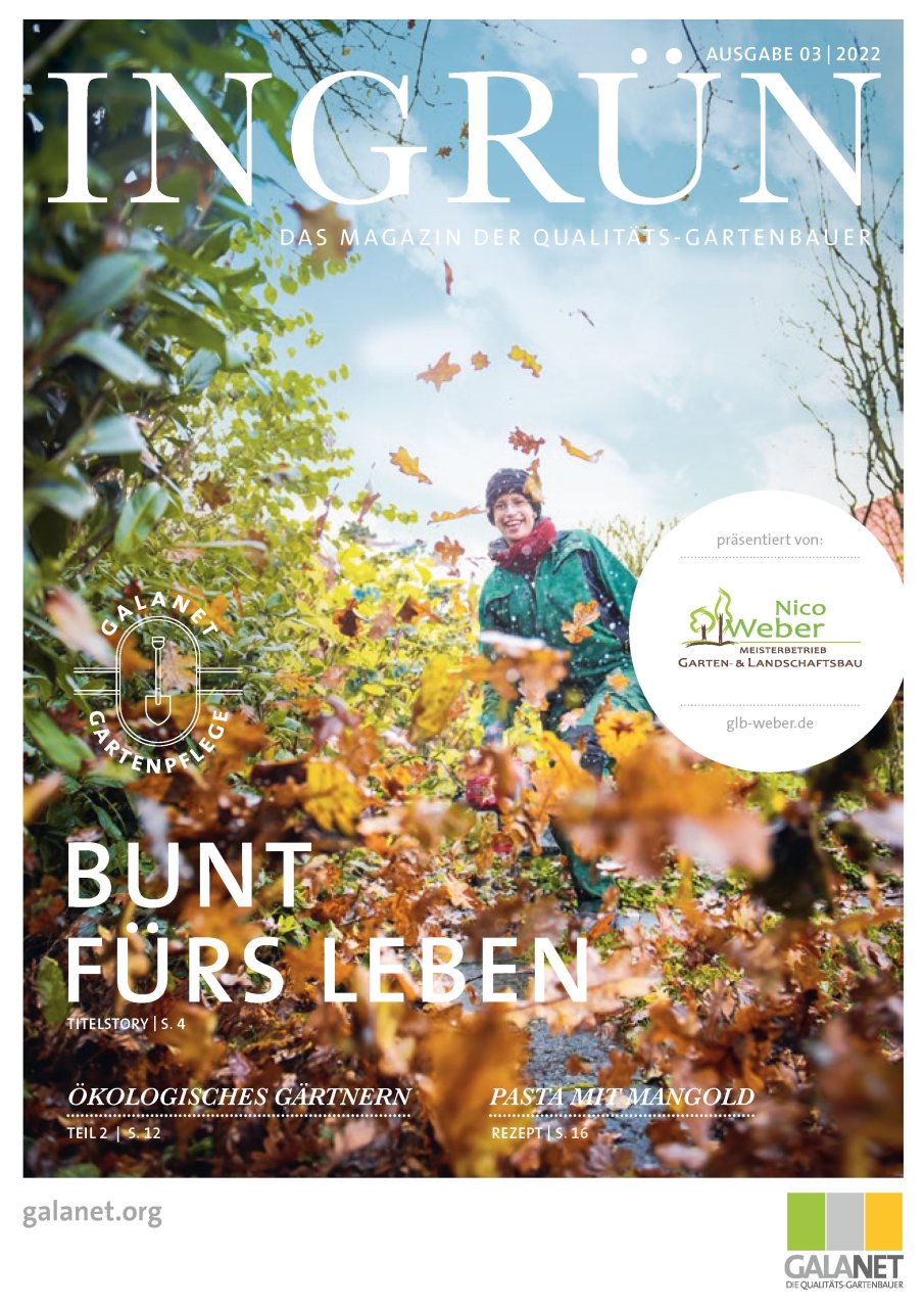Nico Weber Gartenbau Landschaftsbau Rheinland Westerwald