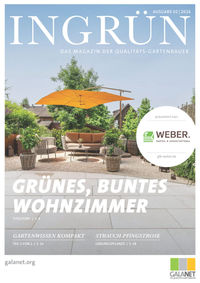 Ingruen 2026 02 Weber Seite 01